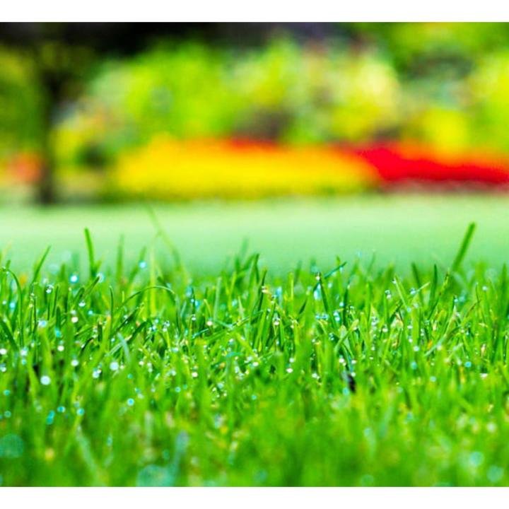 Grass & Lawn Logo